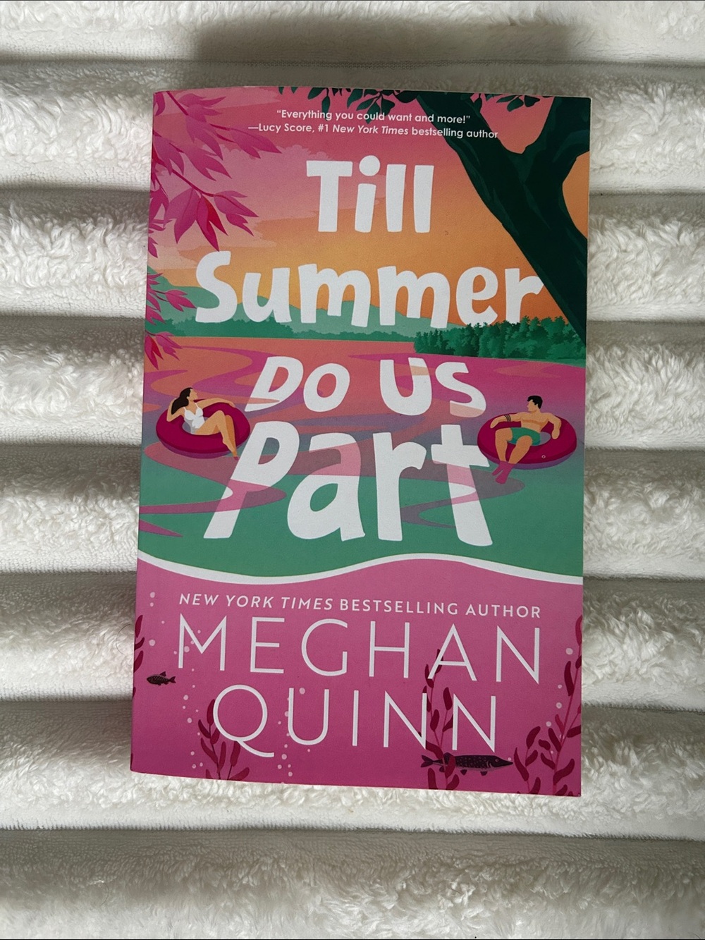 Till Summer Do Us Part by Meghan Quinn